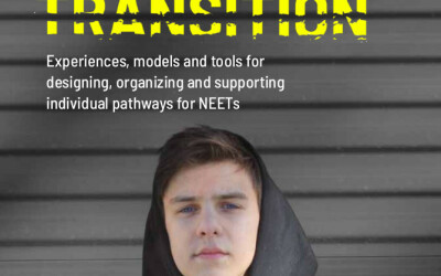 Brochure: Youth in transition